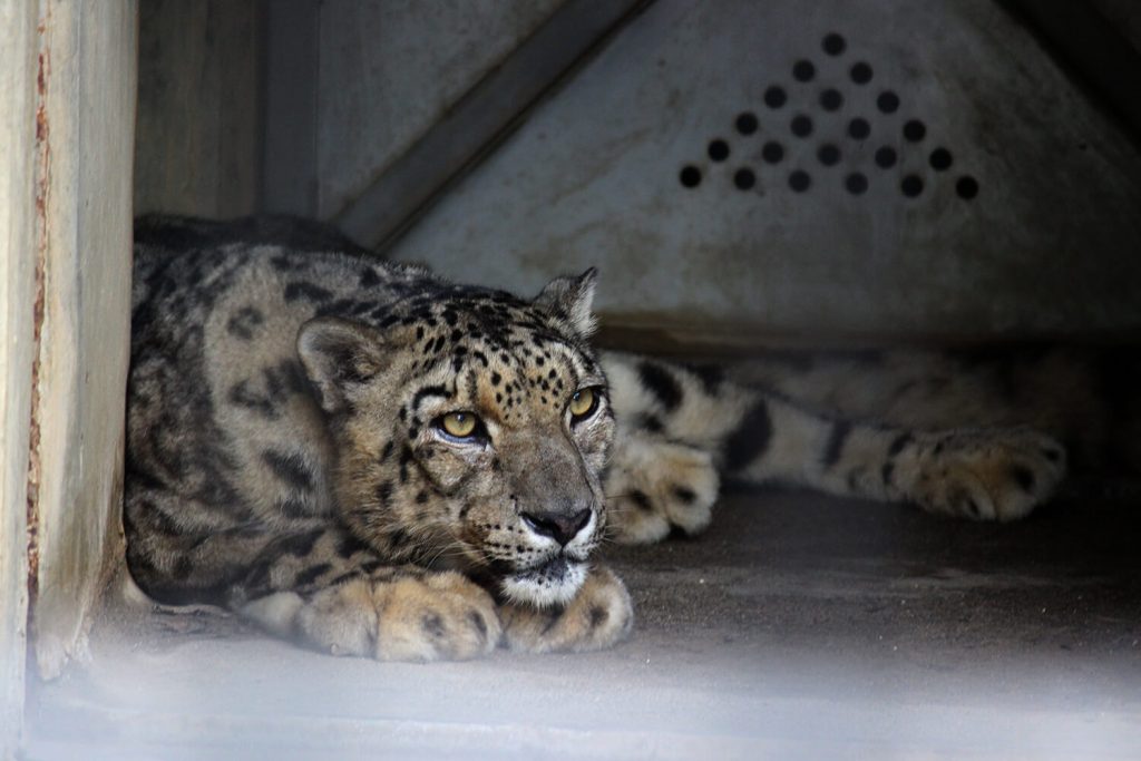 浜松をドライブ！car trip 浜松 浜松市動物園 はまZOO