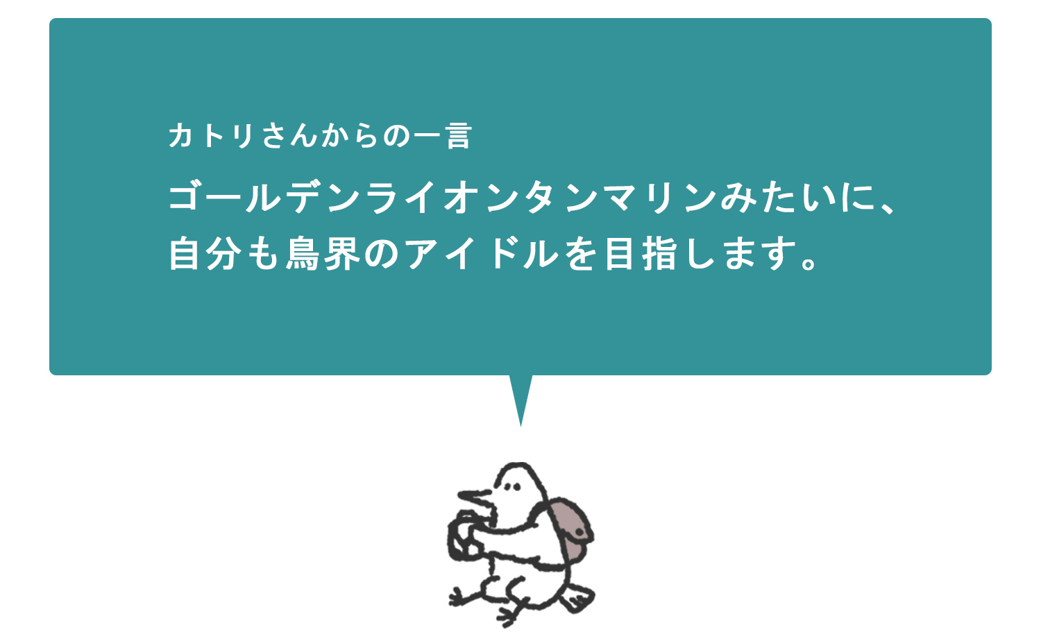 浜松をドライブ！car trip 浜松 カトリさん