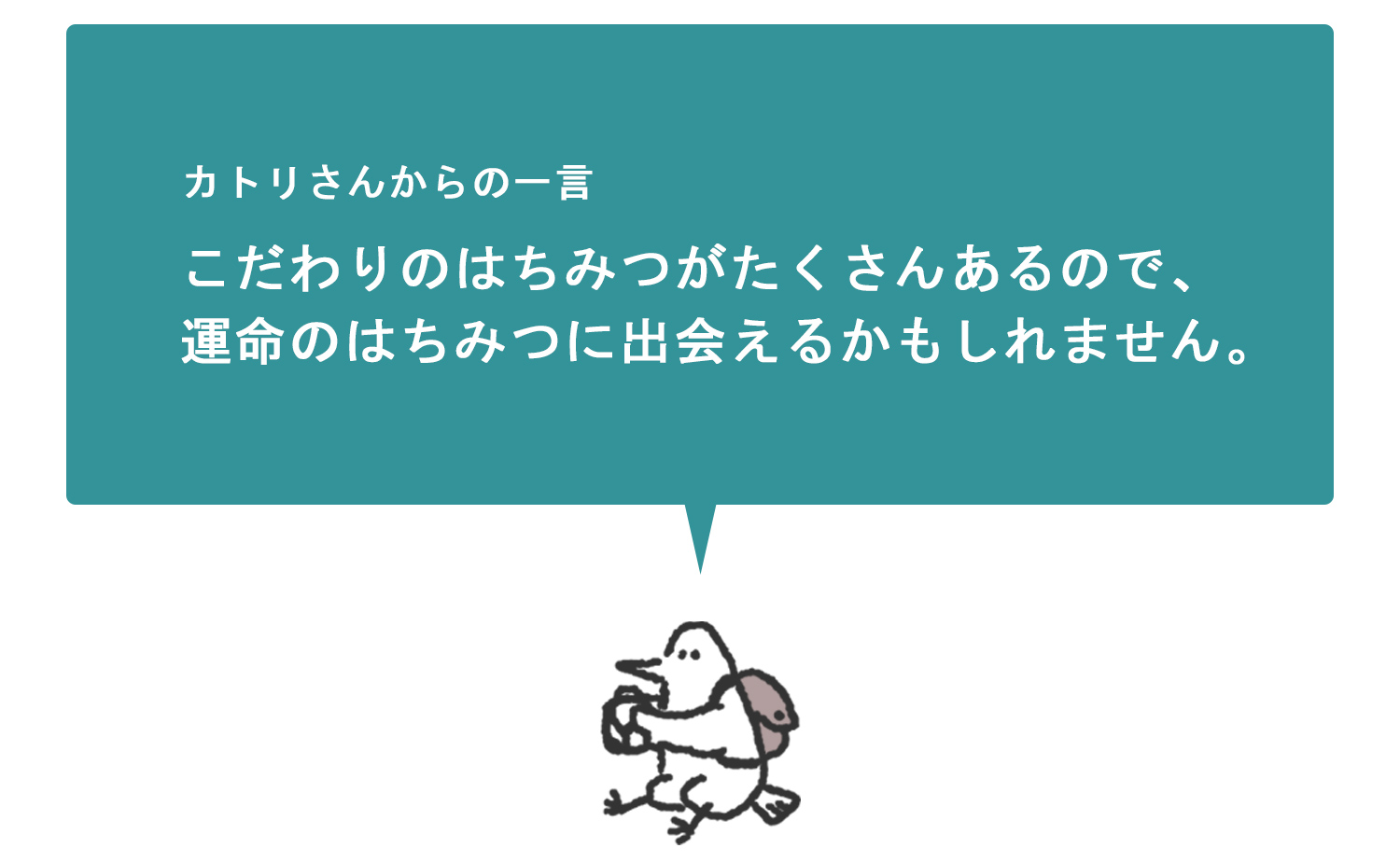 浜松をドライブ！car trip 浜松 カトリさん