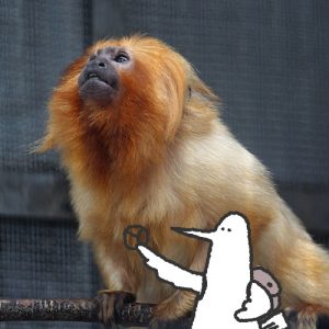 カトリさん、動物たちと戯れるー浜松市動物園への旅