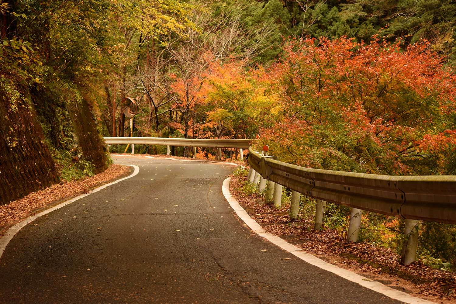 浜松をドライブ！car trip 白倉峡 紅葉