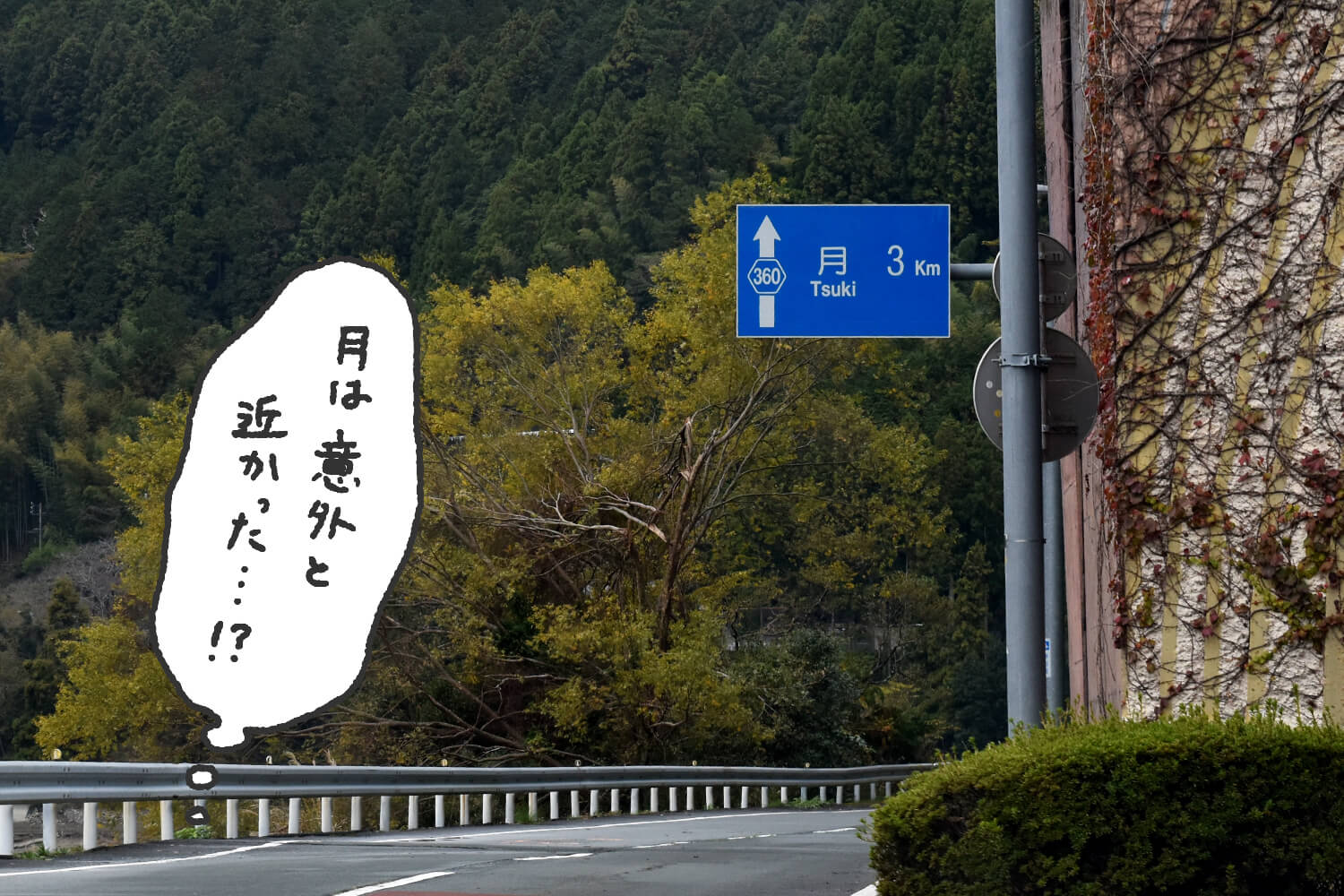 浜松をドライブ！car trip 白倉峡 紅葉