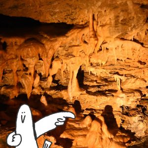 カトリさん、地底探検へー竜ヶ岩洞への旅