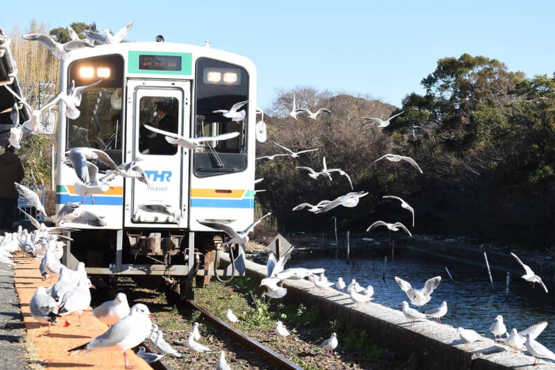 浜松をドライブ！car trip 天竜浜名湖鉄道、浜名湖佐久米駅