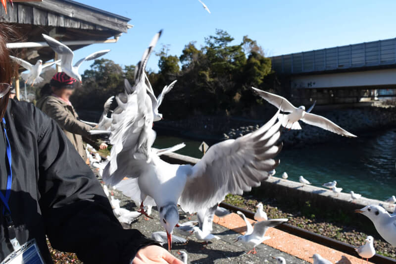 浜松をドライブ！car trip 天竜浜名湖鉄道、浜名湖佐久米駅