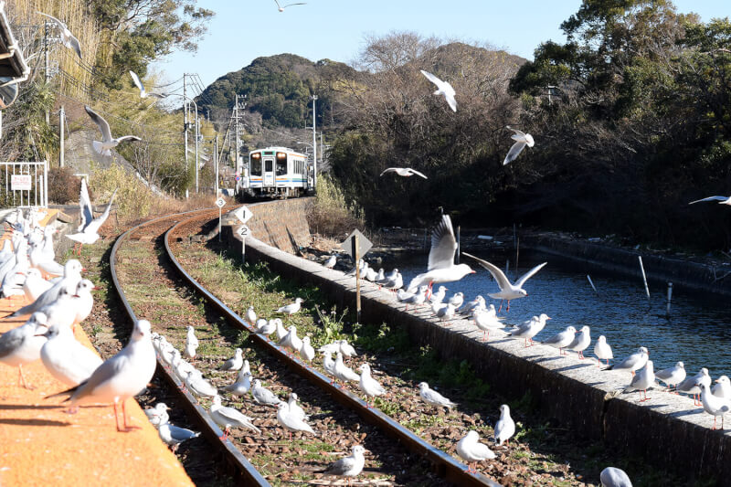 浜松をドライブ！car trip 天竜浜名湖鉄道、浜名湖佐久米駅