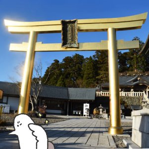 カトリさん、黄金の鳥居に浄化されるー秋葉山本宮秋葉神社への旅