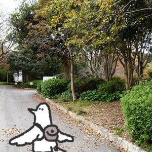 カトリさん、のんびりお散歩ー浜松城公園への旅