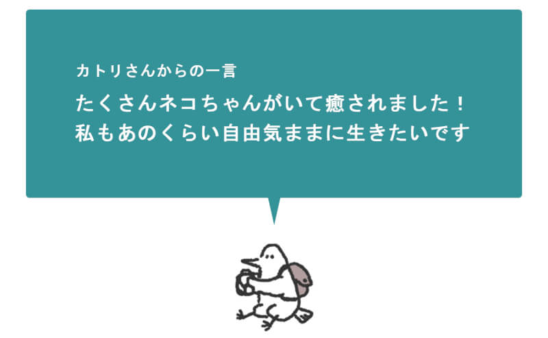 浜松をドライブ！car trip 浜松 猫がいるカフェAdagioへの旅