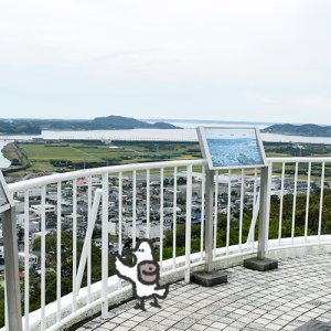 カトリさん、奥浜名湖と街並みを展望するー細江公園への旅