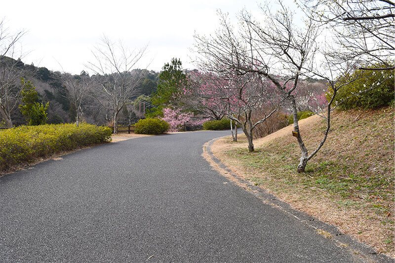 浜松をドライブ！car trip 都田総合公園