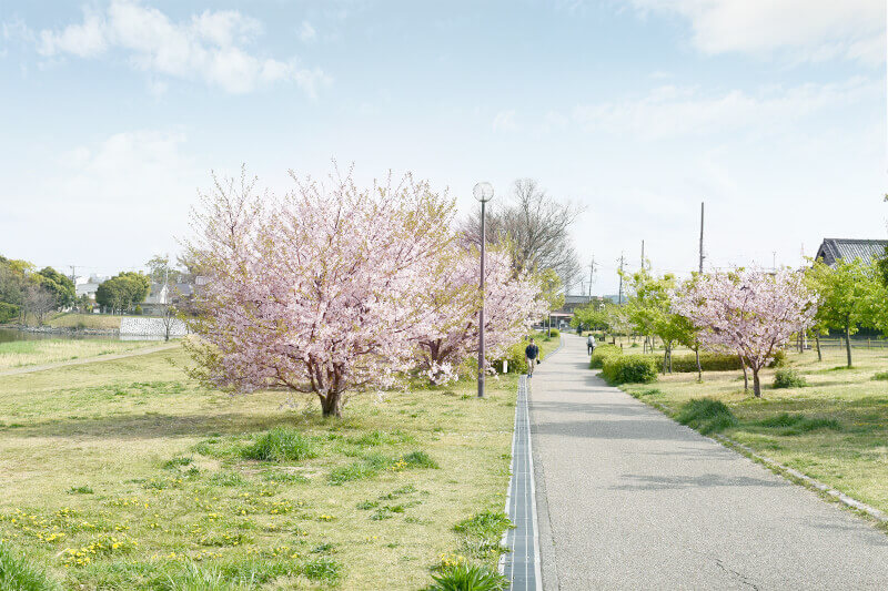 浜松をドライブ！car trip 佐鳴湖公園への旅