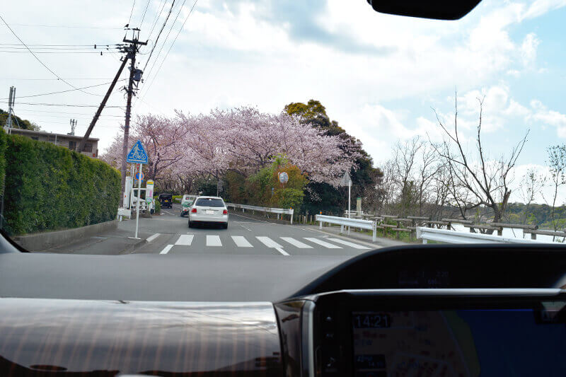 浜松をドライブ！car trip 浜松 佐鳴湖公園への旅