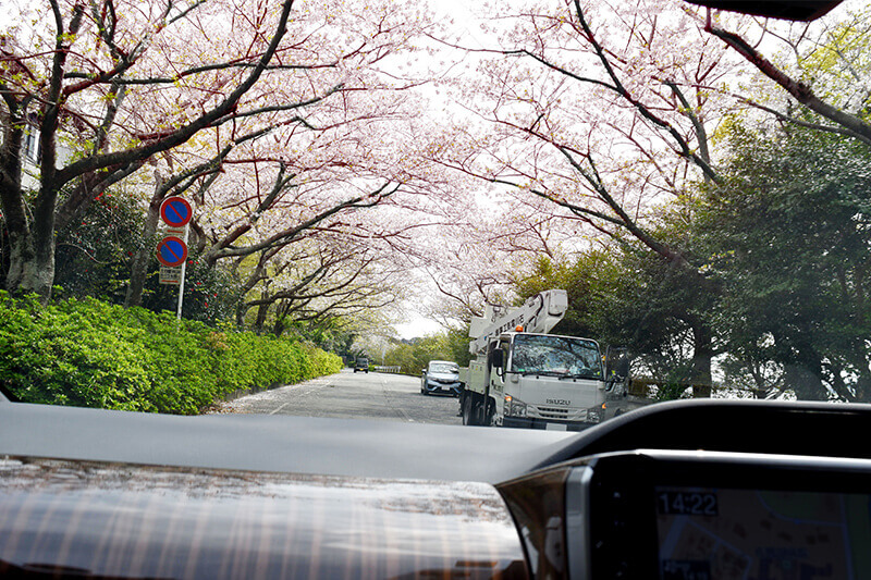 浜松をドライブ！car trip 浜松 佐鳴湖公園への旅