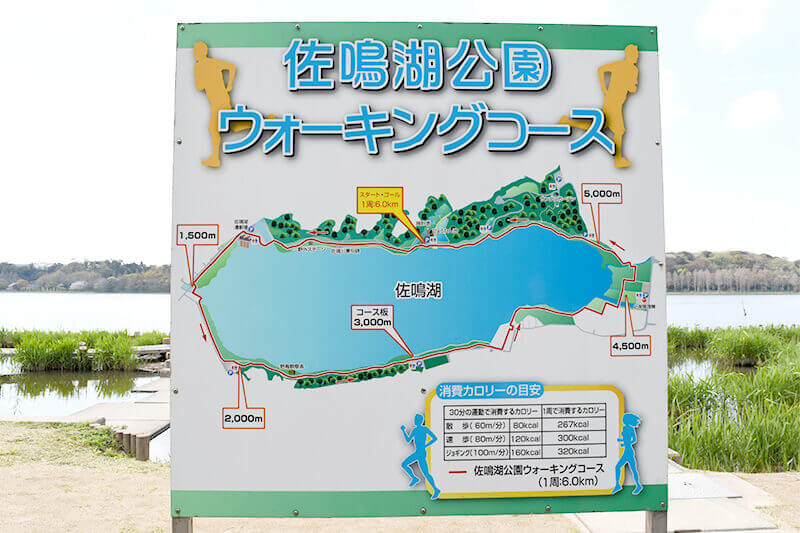 浜松をドライブ！car trip 浜松 佐鳴湖公園への旅