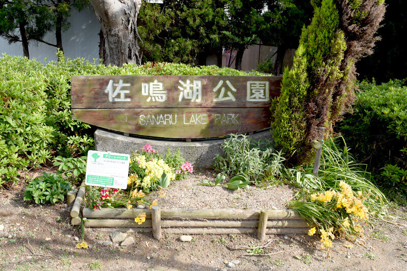 浜松をドライブ！car trip 浜松 佐鳴湖公園への旅