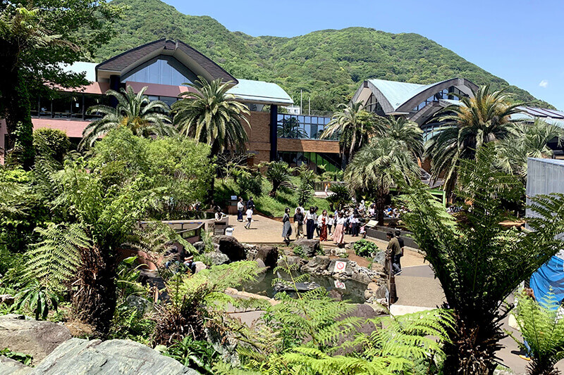 浜松をドライブ！car trip 浜松 伊豆 爬虫類がいる体験型動物園iZooへの旅