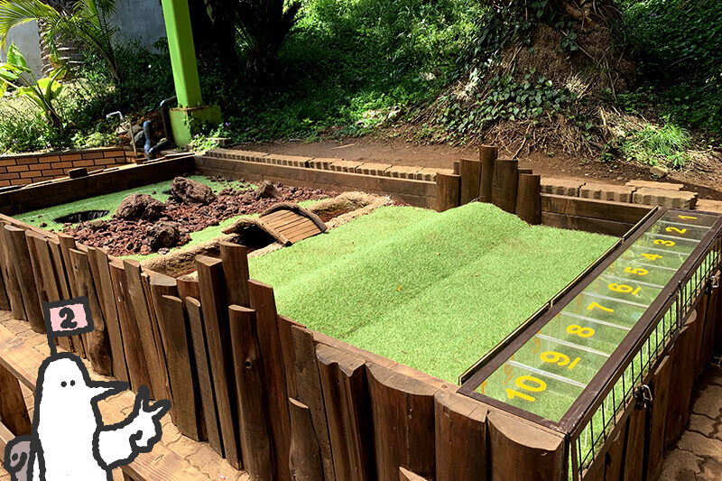 浜松をドライブ！car trip 浜松 伊豆 爬虫類がいる体験型動物園iZooへの旅