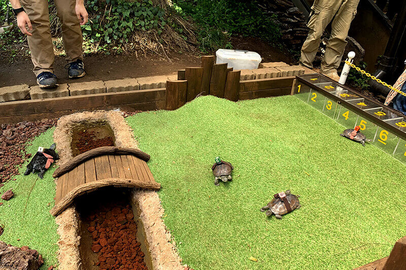 浜松をドライブ！car trip 浜松 伊豆 爬虫類がいる体験型動物園iZooへの旅