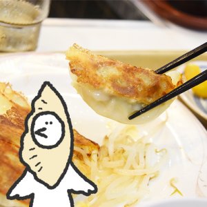 カトリさん、浜松餃子を味わうー喜慕里への旅
