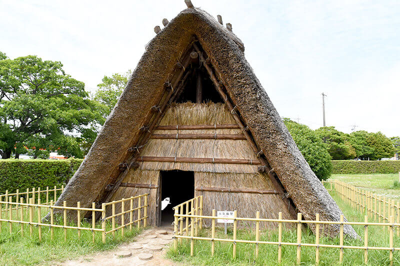 貴重な資料・展示で浜松の歴史を学ぶ蜆塚遺跡・浜松市博物館へのドライブ旅