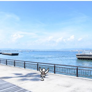 【番外編】カトリさん、歩く！泳ぐ！ー海釣公園への旅