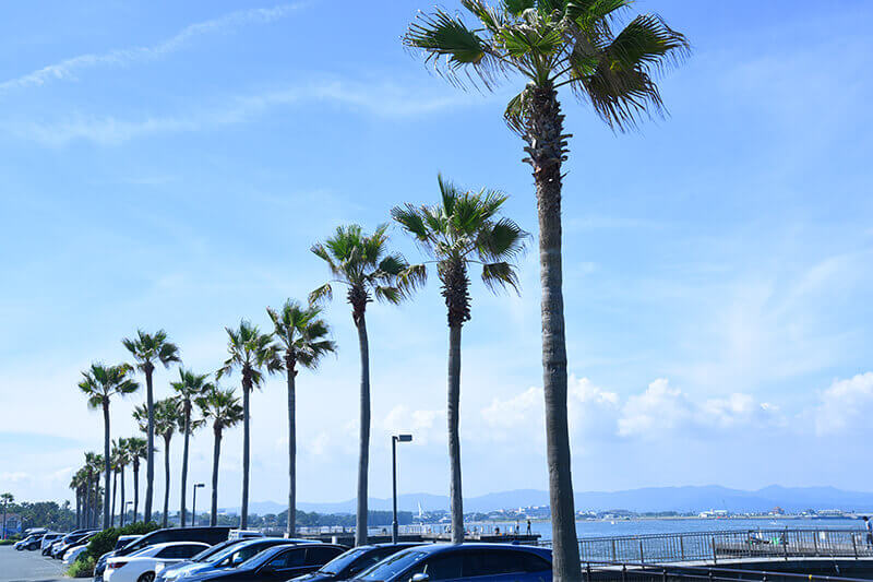 浜松をドライブ！car trip 湖西市 新居 浜名湖 海釣公園 新居弁天海水浴場