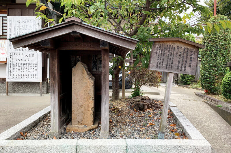 浜松をドライブ！car trip 五社神社 諏訪神社