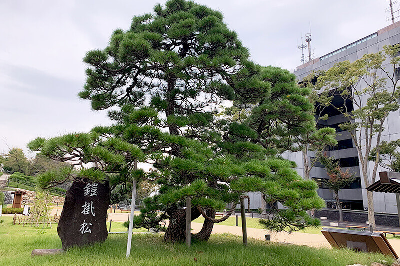 浜松をドライブ！car trip 徳川家康公所縁の城 浜松城