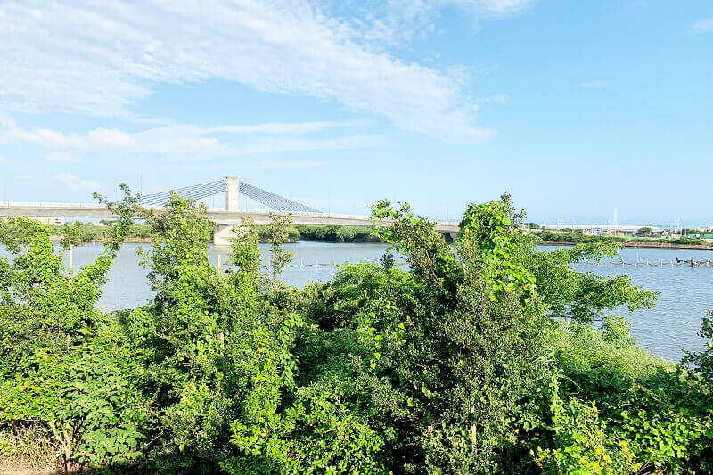 浜松をドライブ！car trip 浜松 堀出前中央公園 とびっこ公園 雄踏