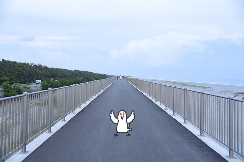 浜松をドライブ！car trip 浜松 記念すべき第200回目