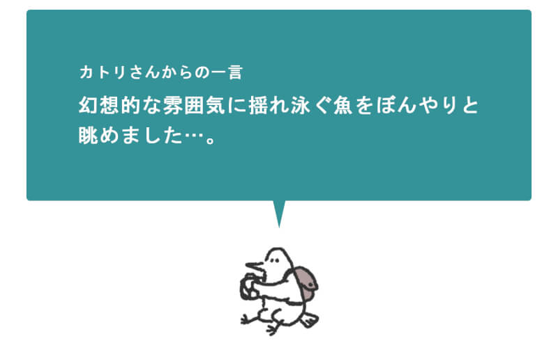 浜松をドライブ！car trip 浜松 浜名湖体験学習施設ウォット ナイトウォッチ