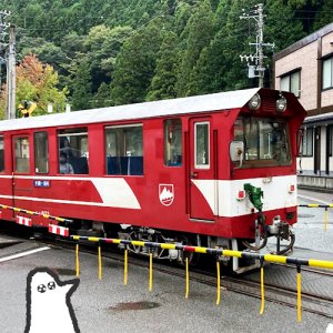 【番外編】カトリさん、列車を眺めるー千頭駅周辺への旅