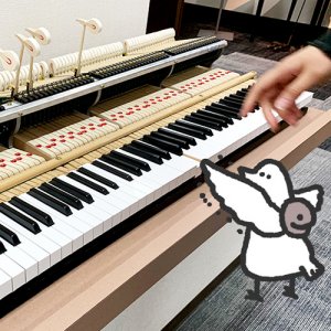 【番外編】カトリさん、ピアノを学ぶー河合楽器 竜洋工場への旅