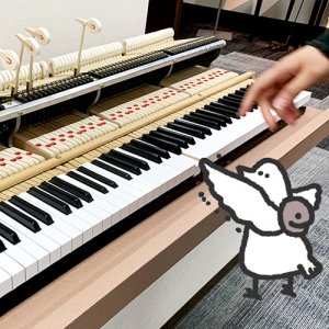 【番外編】カトリさん、ピアノを学ぶー河合楽器 竜洋工場への旅