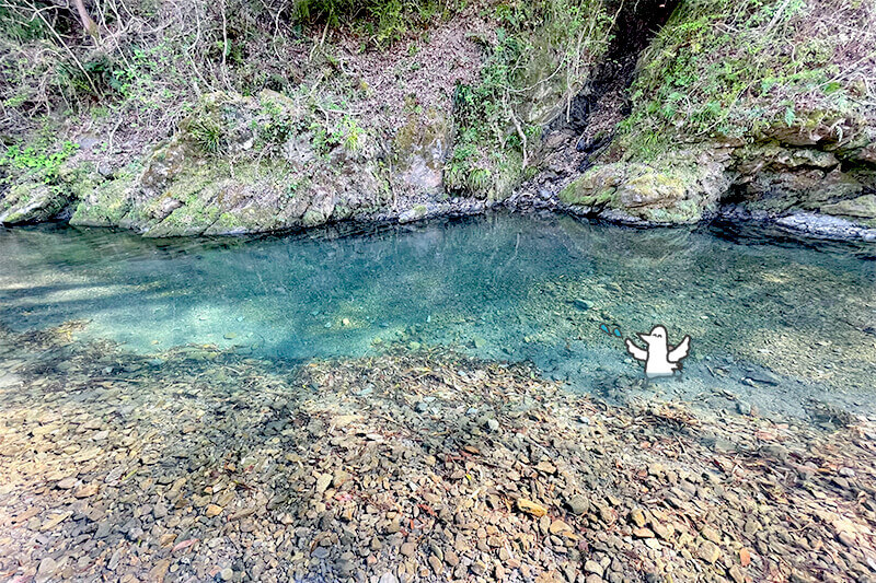 セカンドステージ カトリさん car trip 浜松 天狗 春野いきいき天狗村