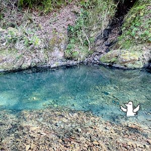 カトリさん、春野町を満喫ーいきいき天狗村への旅