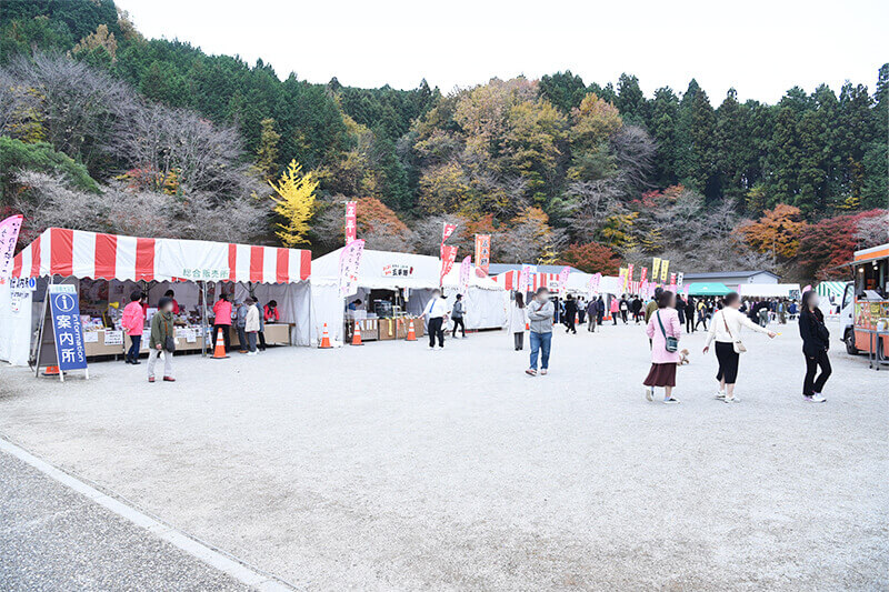 セカンドステージ カトリさん car trip 浜松 小原四季桜まつり 紅葉