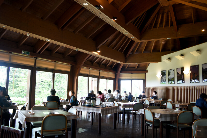 浜松をドライブ！car trip静岡県立森林公園 森の家 レストランまつぼっくり