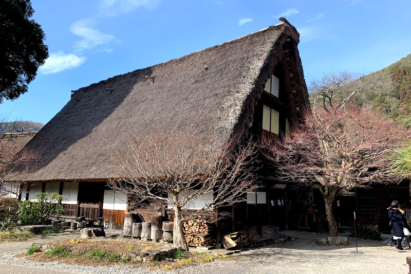 浜松をドライブ！car trip 浜松 温泉 岐阜 下呂温泉 合掌村 かえる 飛騨