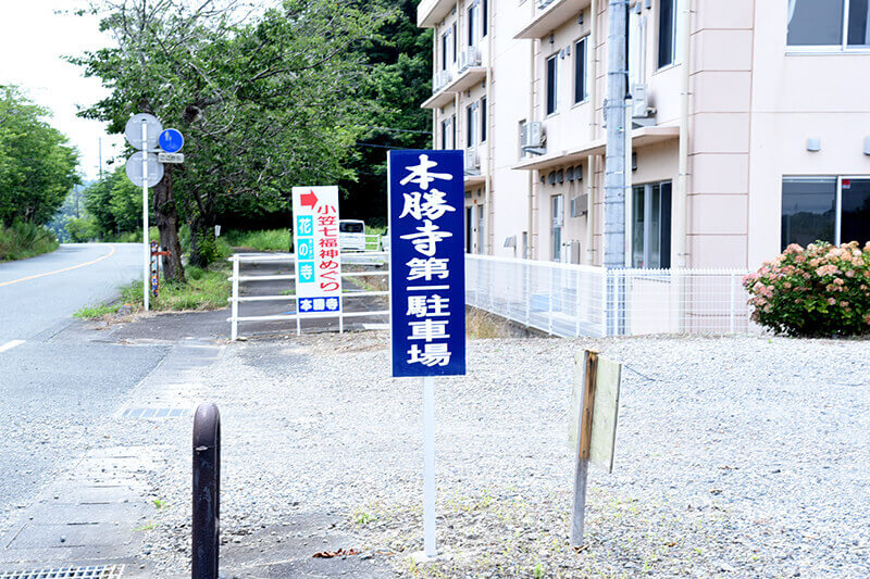 セカンドステージ カトリさん car trip 浜松 掛川 本勝寺 あじさい 祭