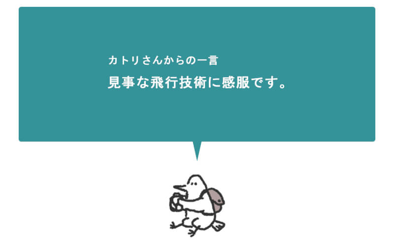 セカンドステージ カトリさん car trip 浜松 エアフェスタ 航空祭 ブルーインパルス