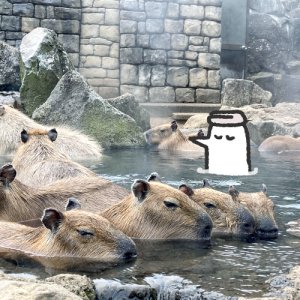 【番外編】カトリさん、いい湯に浸かるー伊豆シャボテン動物公園