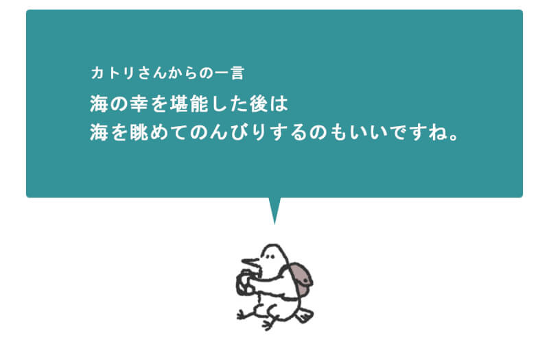 セカンドステージ カトリさん car trip 浜松 小原四季桜まつり 紅葉