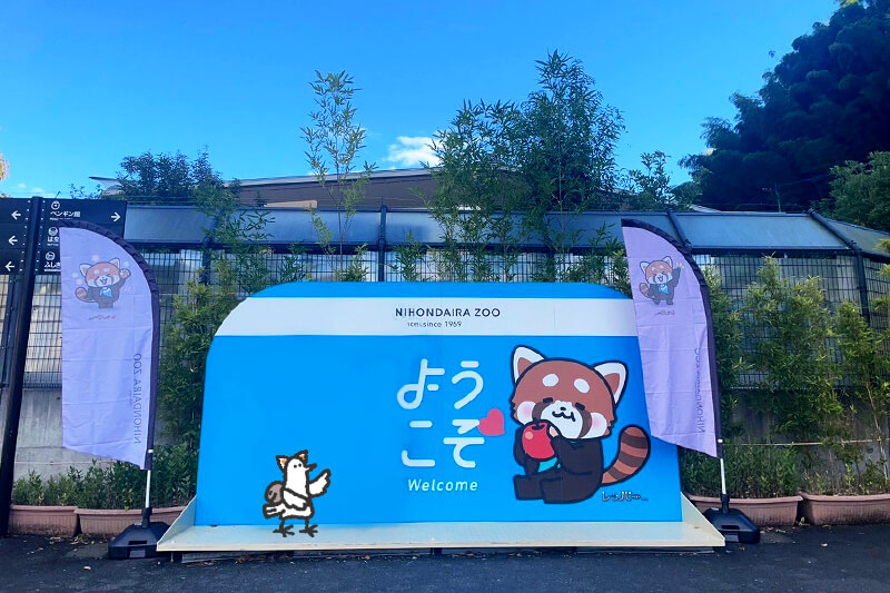 浜松をドライブ！car trip 浜松 日本平 日本平動物園 動物園 レッサーパンダ 楓太くん 遊園地