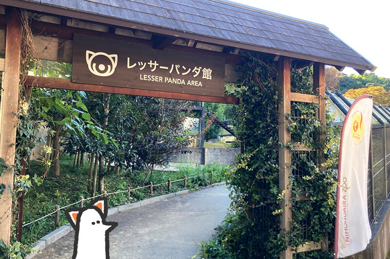 浜松をドライブ！car trip 浜松 日本平 日本平動物園 動物園 レッサーパンダ 楓太くん 遊園地