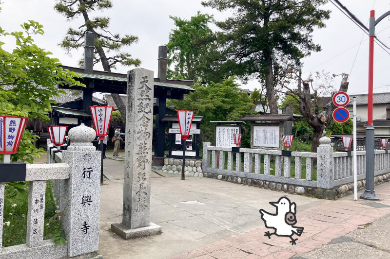 浜松をドライブ！car trip 浜松 磐田 藤 熊野の長藤 熊野御前 行興寺