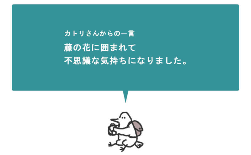 浜松をドライブ！car trip 浜松 日本平 日本平動物園 動物園 レッサーパンダ 楓太くん 遊園地