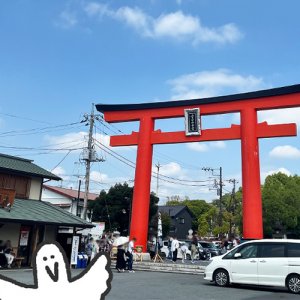 【番外編】カトリさん、富士山と焼きそばを堪能ー富士山本宮浅間大社・お宮横丁への旅