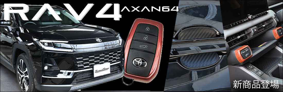 RAV4-AXAN64